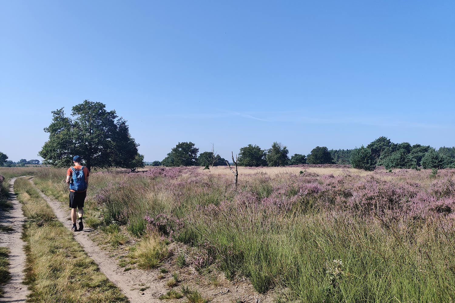 de-groote-heide-brabants-vennenpad