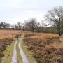 drenthe-takkenhoogte-wandelen