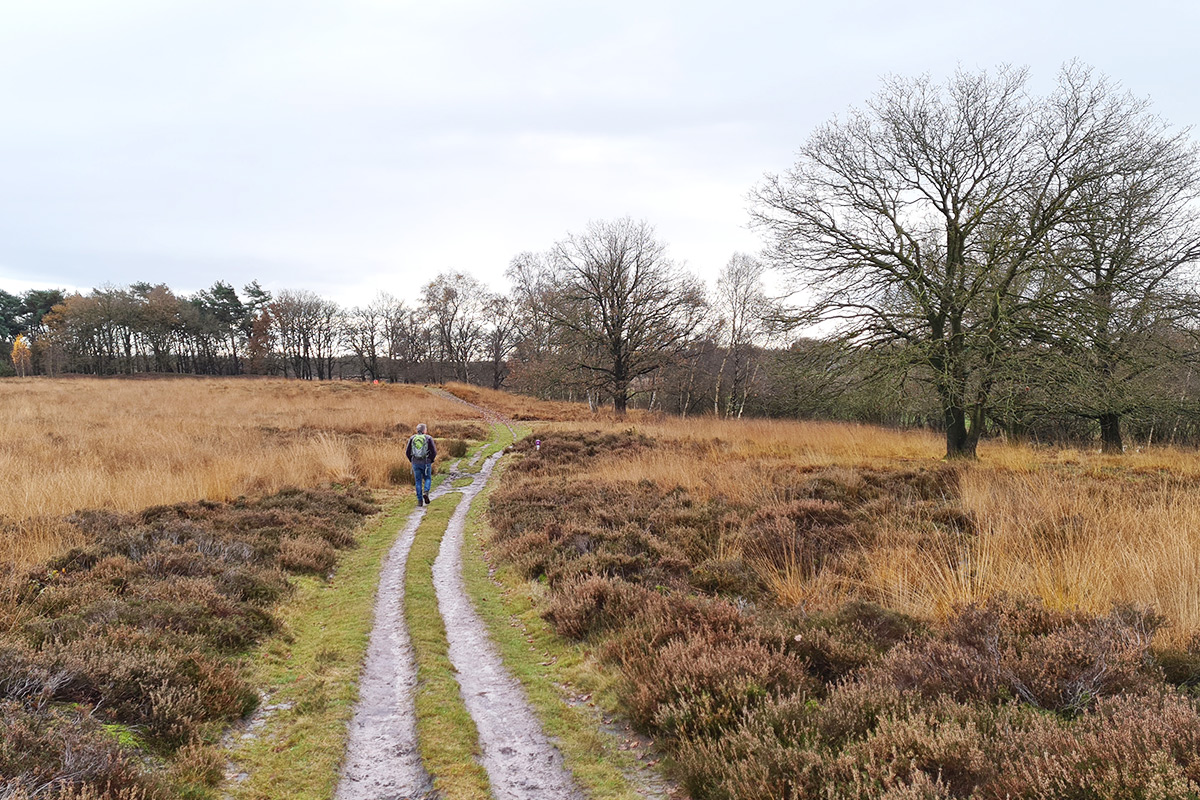 drenthe-takkenhoogte-wandelen