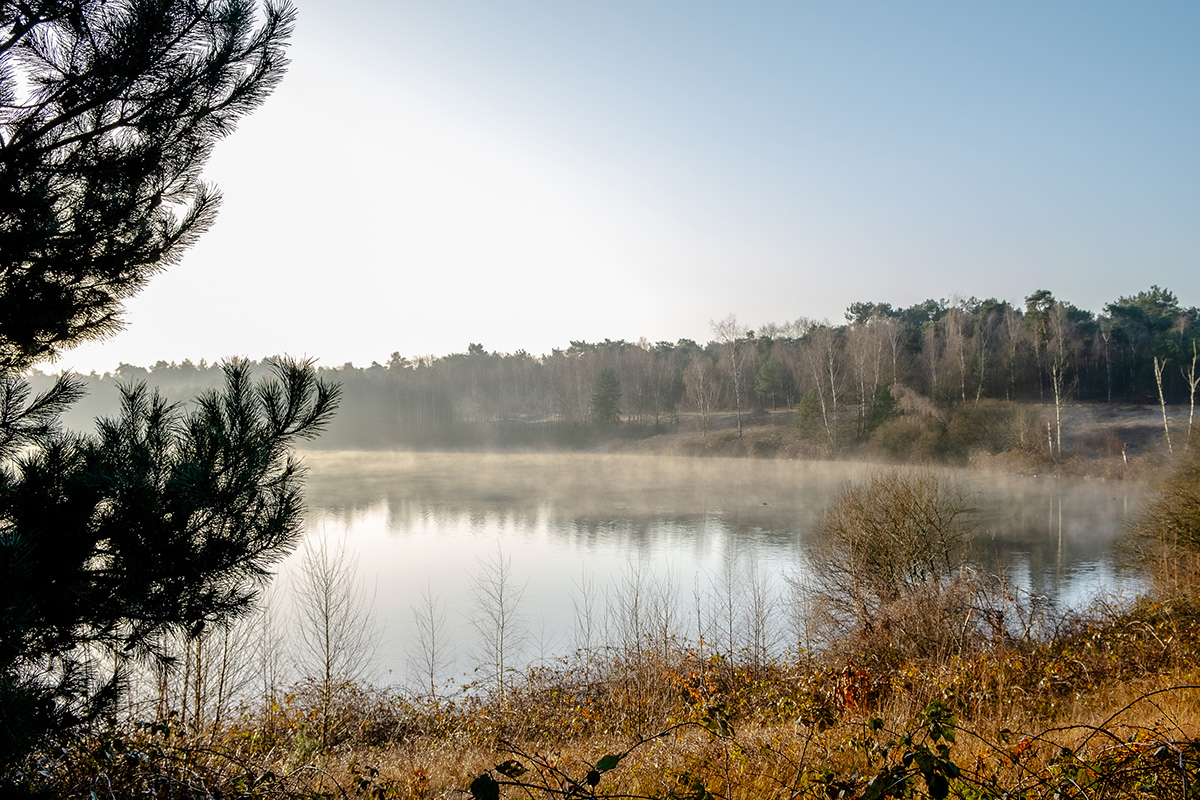 maasduinen-reindersmeer-wandeling