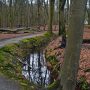 sgravelandse-buitenplaatsen-wandeling