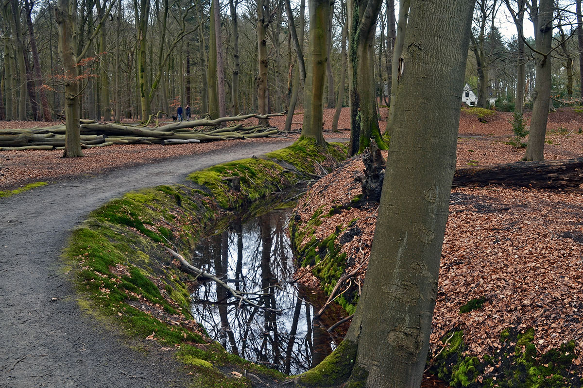 sgravelandse-buitenplaatsen-wandeling