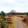 wolvenspoor-hart-van-drenthe