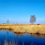 engbertsdijksvenen-kloosterhaar-route