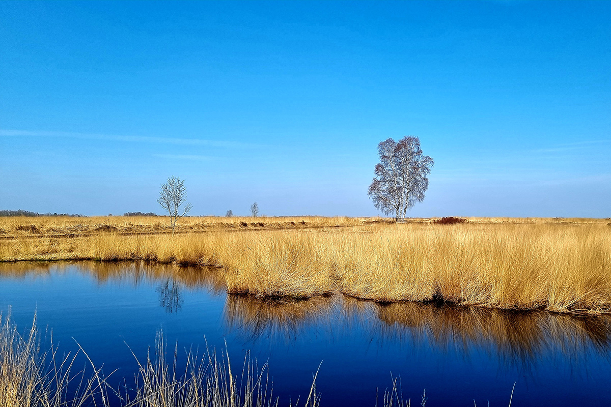 engbertsdijksvenen-kloosterhaar-route