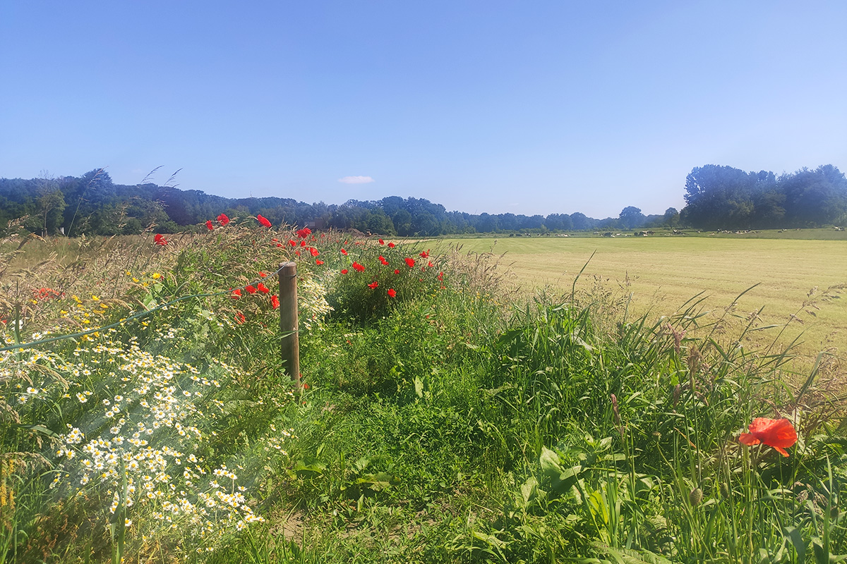 gronau_fietstocht