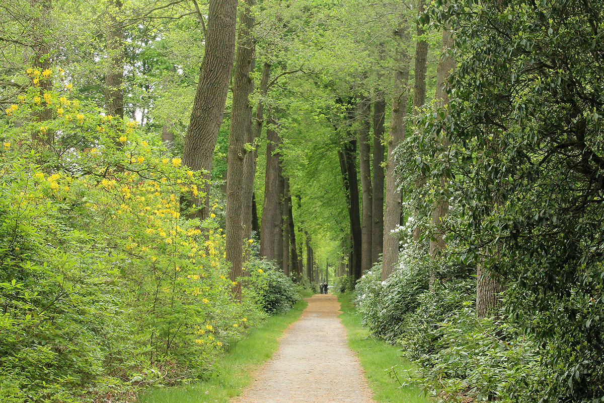 landgoed-velhorst-witte-pad