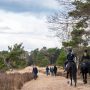 oisterwijk-boxtel-wandeling