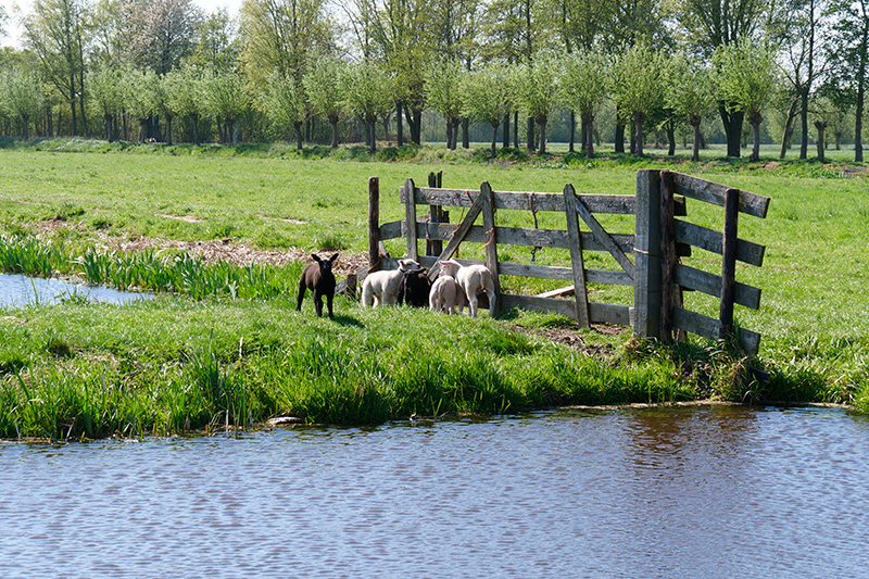overnachten-groene-hart