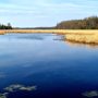 veenpluisroute-drenthe-wandeling