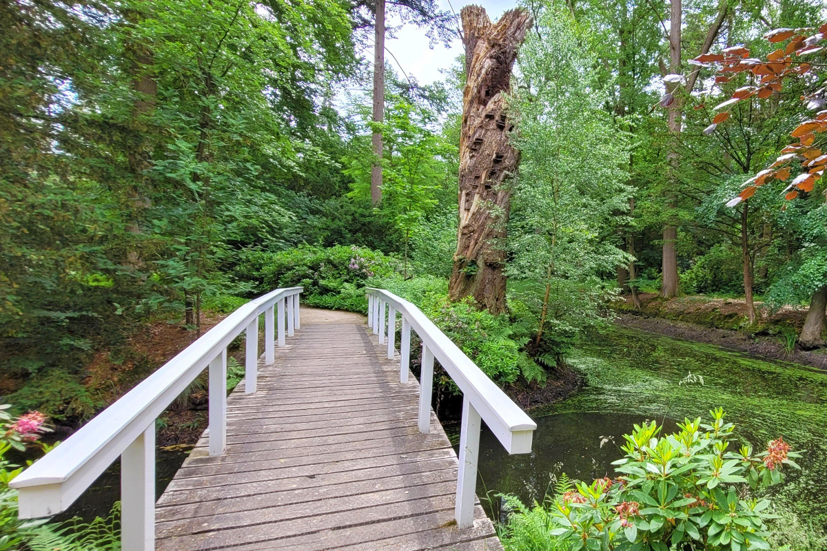 landgoed-verwolde-wandelroute-gelderland