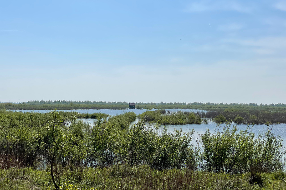 tiengemeten