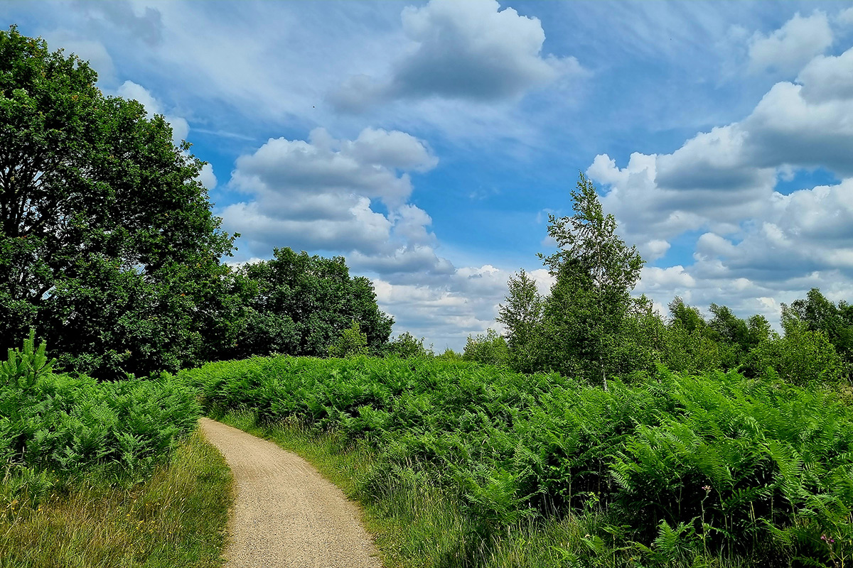 haaksbergerveen