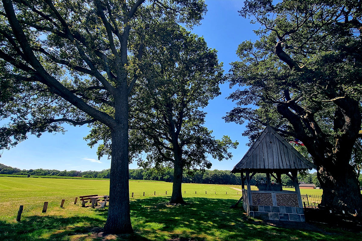 kroezeboom_twente_wandeling