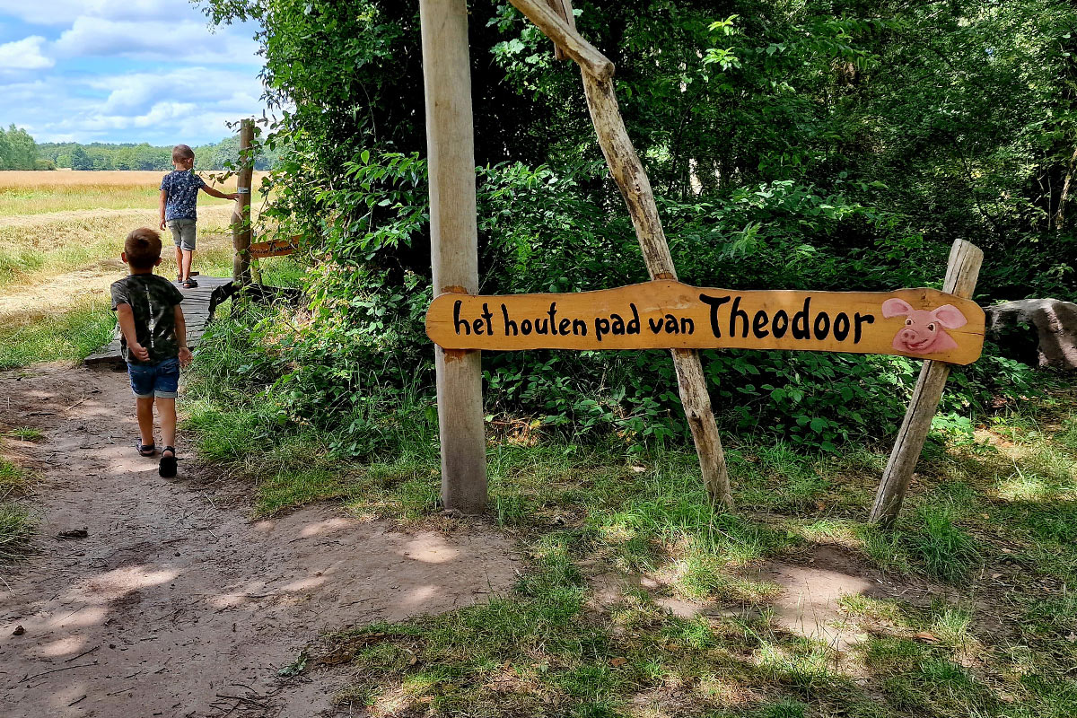 het-houten-pad-van-theodoor