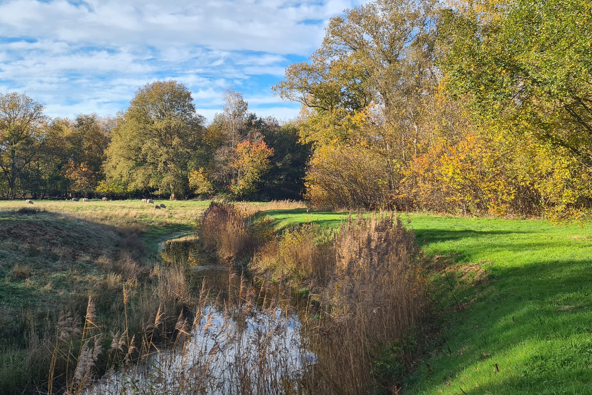 mepper-hooilanden-drenthe