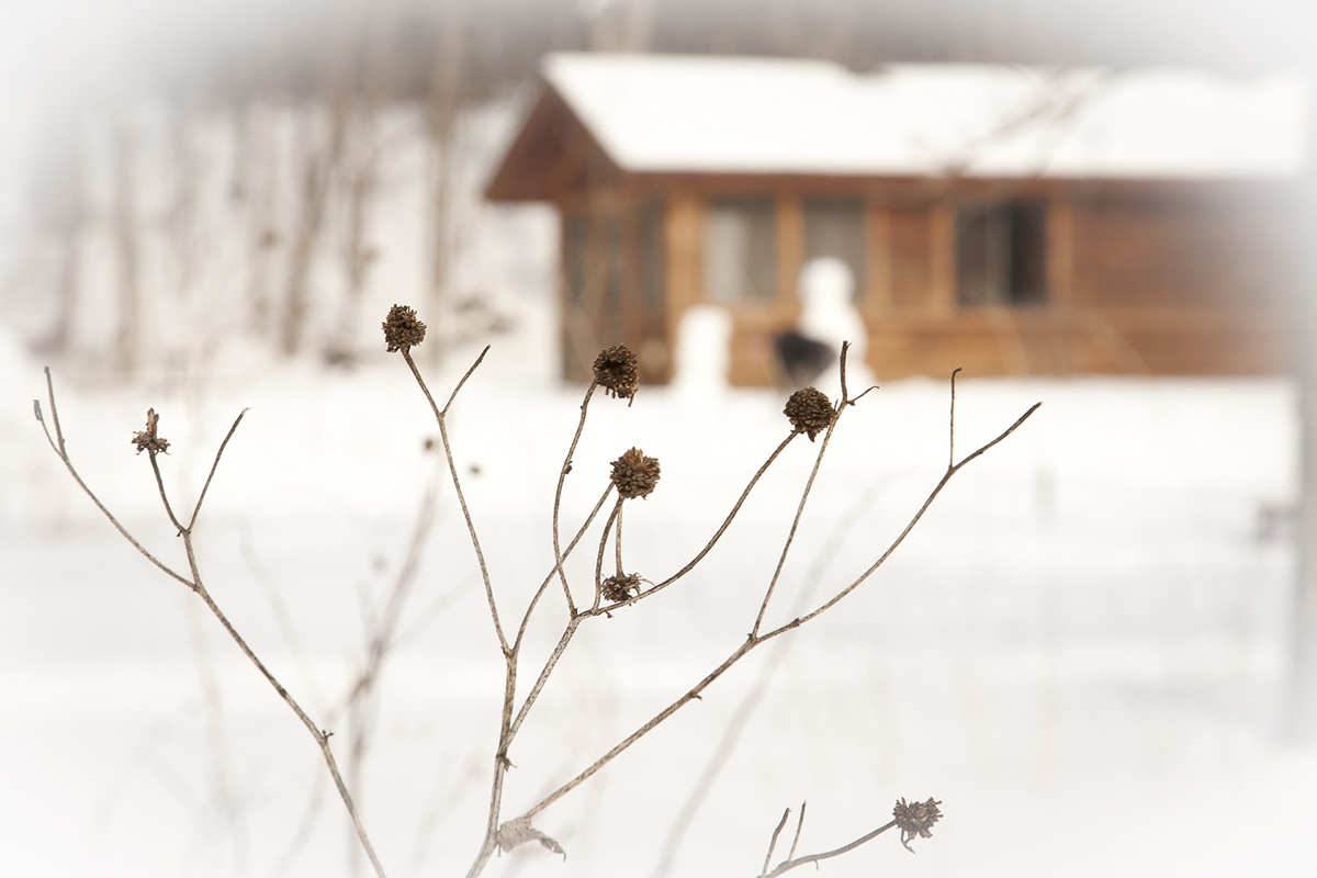 natuurhuisje_winter