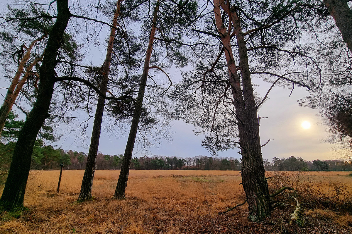 trambaan-wandeling-oldenzaal