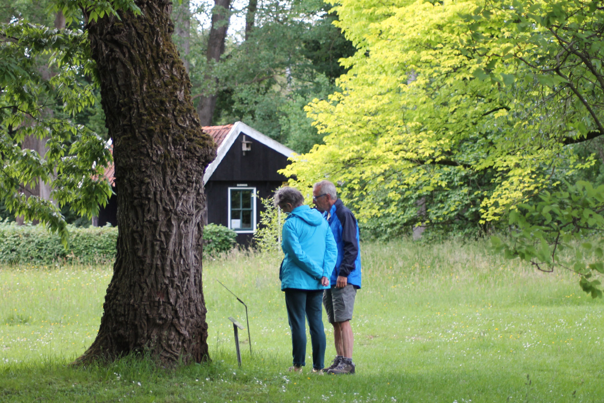 arboretum-poort-bulten-twente