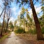 eelerbos-wandeling