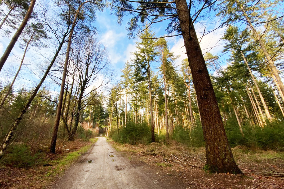 eelerbos-wandeling