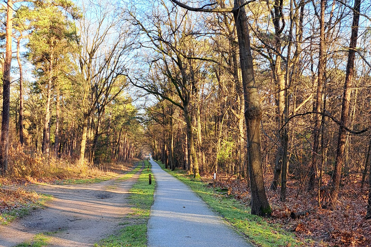 schwarzwald-nederland-wandeling