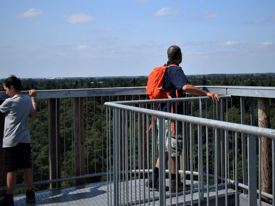 natuurgebied_herperduin_uitkijktoren