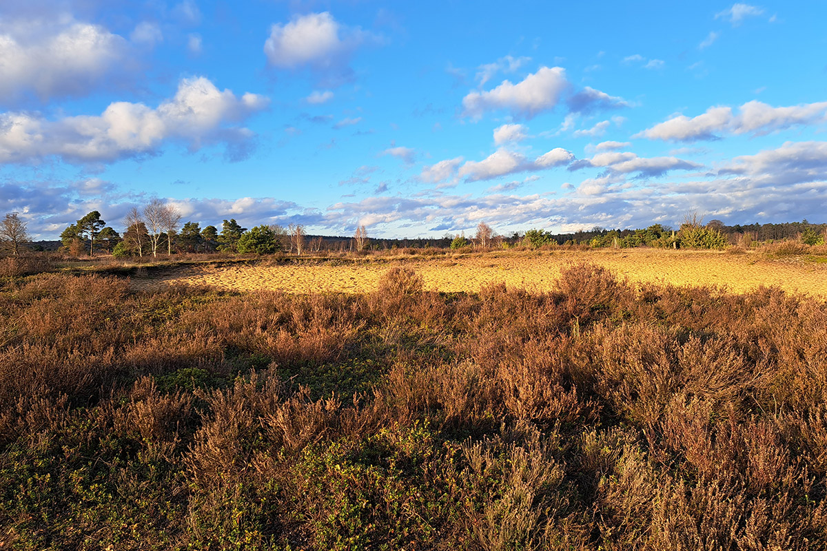 sallandse-heuvelrug-wandelroute