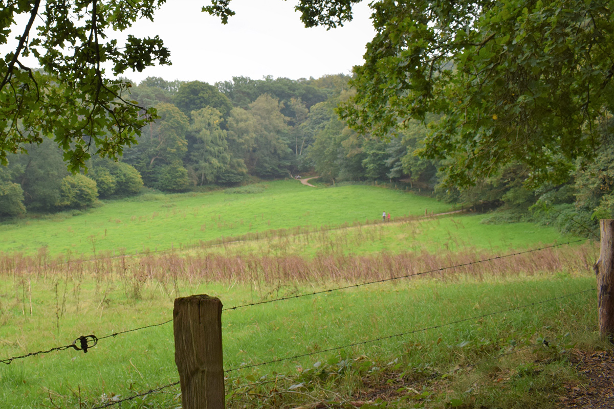n70-trail-wandeling