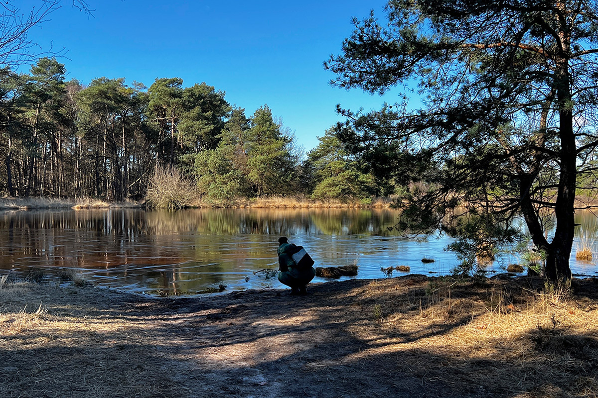 oude-buisse-heide