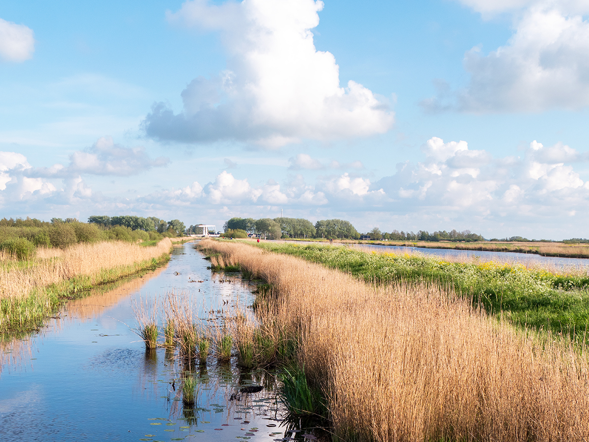 reisreport-fietsroute-friesland-nationaal-park