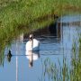 reisreport-fietsroute-noord-holland-onderweg