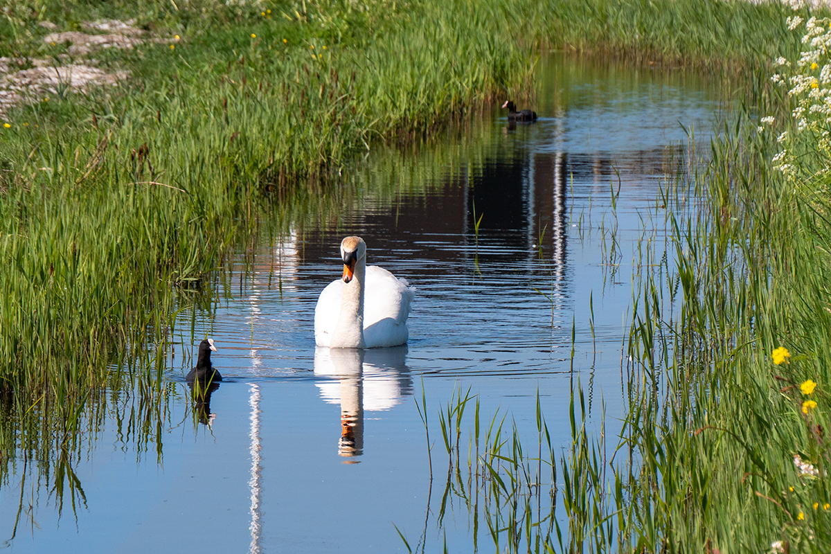 reisreport-fietsroute-noord-holland-onderweg