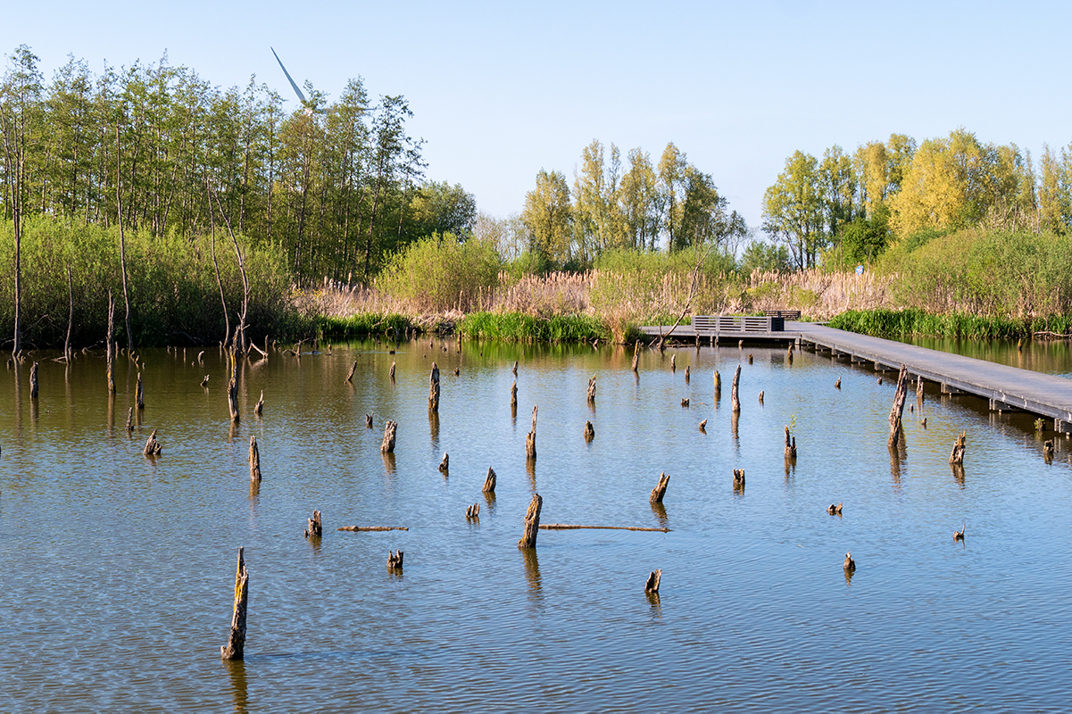 reisreport-fietsroute-utrecht-het-verdronken-bos