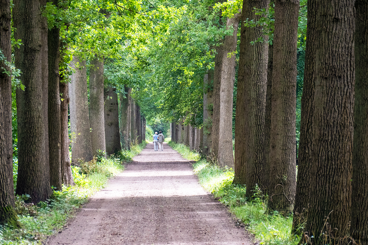 reisreport-fietsroute-zuid-holland-onderweg