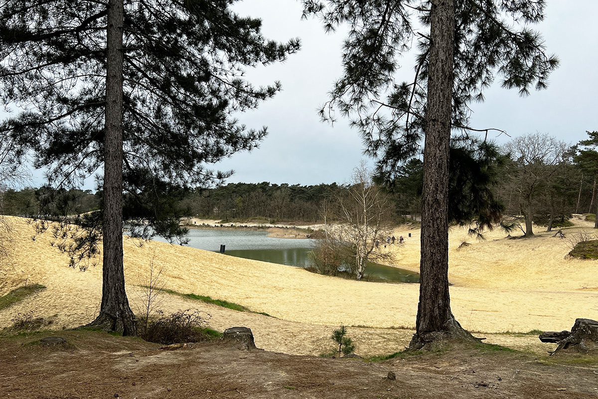 bergse-heide-bergen-op-zoom