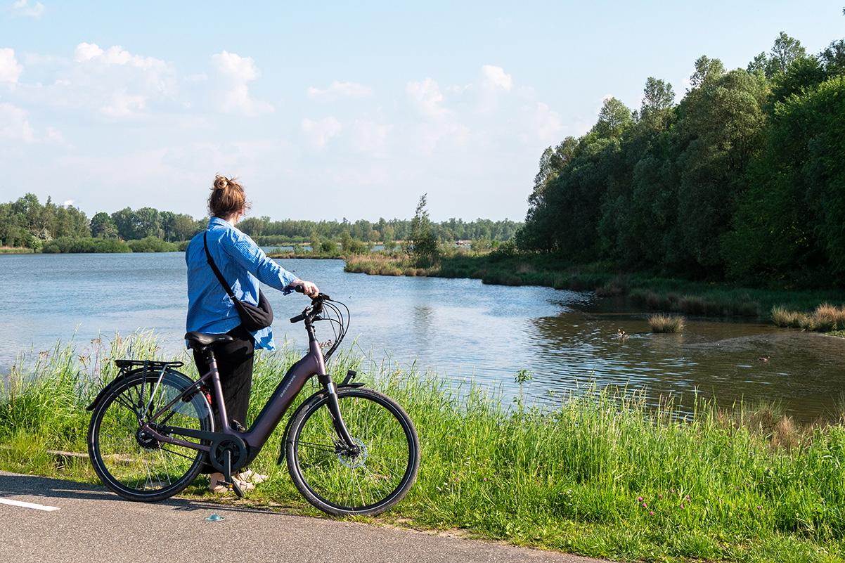 fietsen-Biesbosch