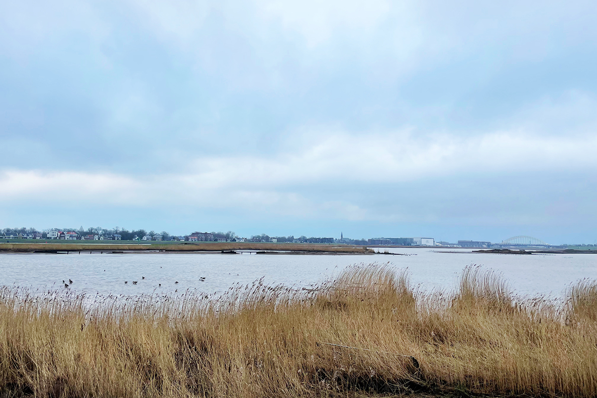 crezeepolder-vogelgebied