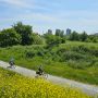 antwerpen-stadsgids-rondleiding