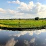 ns-wandeling-vughtse-lunetten-bossche-broek