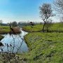 amsterdam-tuinen-van-west