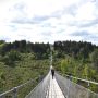 geierlay-hangbrug