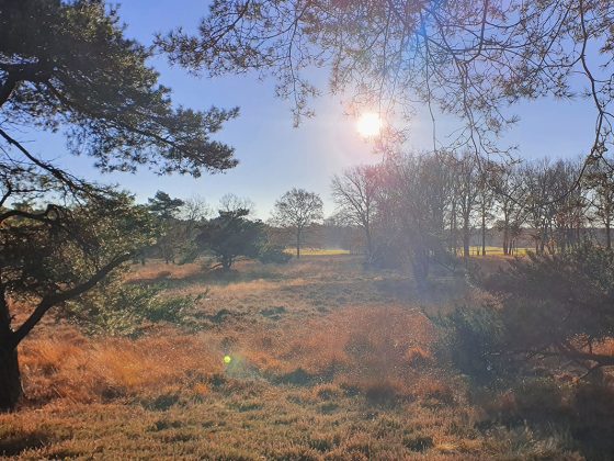 uffelter-binnenveld-wandeling-route