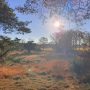 uffelter-binnenveld-wandeling-route