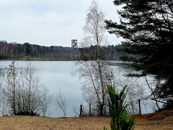 lommelse-sahara-wandeling